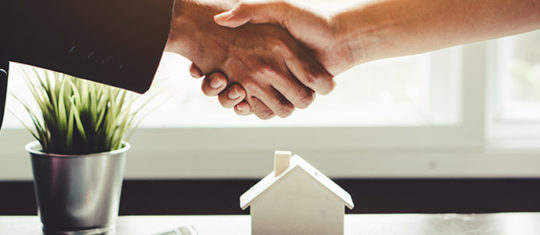 programme immobilier