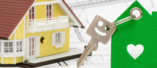 immobilier neuf